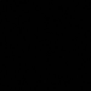 Meet your Posher, Rosa